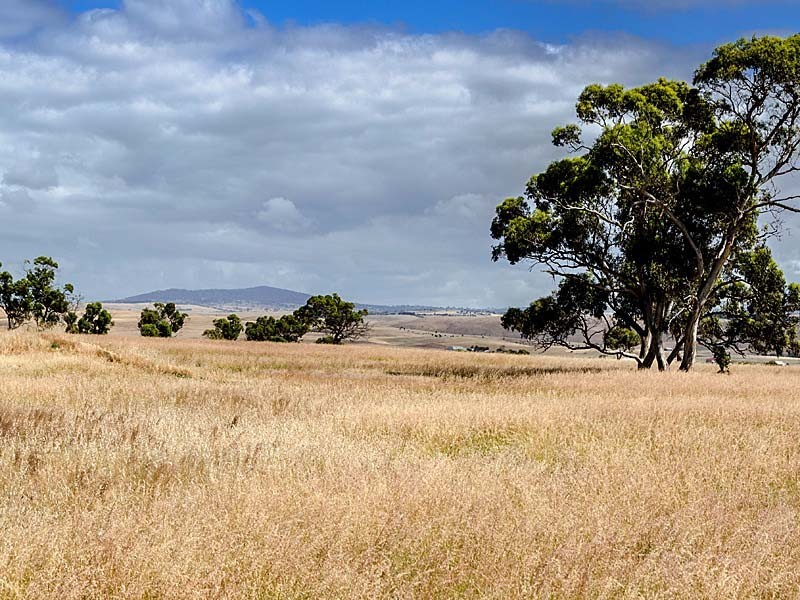 Lot 27 / 213 Jaensch Road, Hartley SA 5255