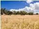 Lot 27 / 213 Jaensch Road, Hartley SA 5255