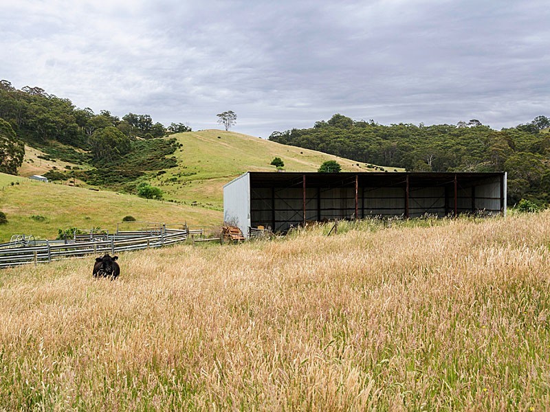 57 Kelly Road, Cudlee Creek SA 5232