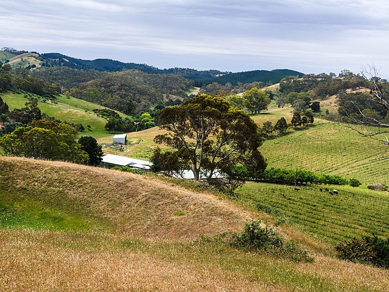 57 Kelly Road, Cudlee Creek SA 5232