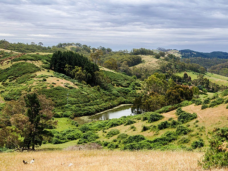 57 Kelly Road, Cudlee Creek SA 5232