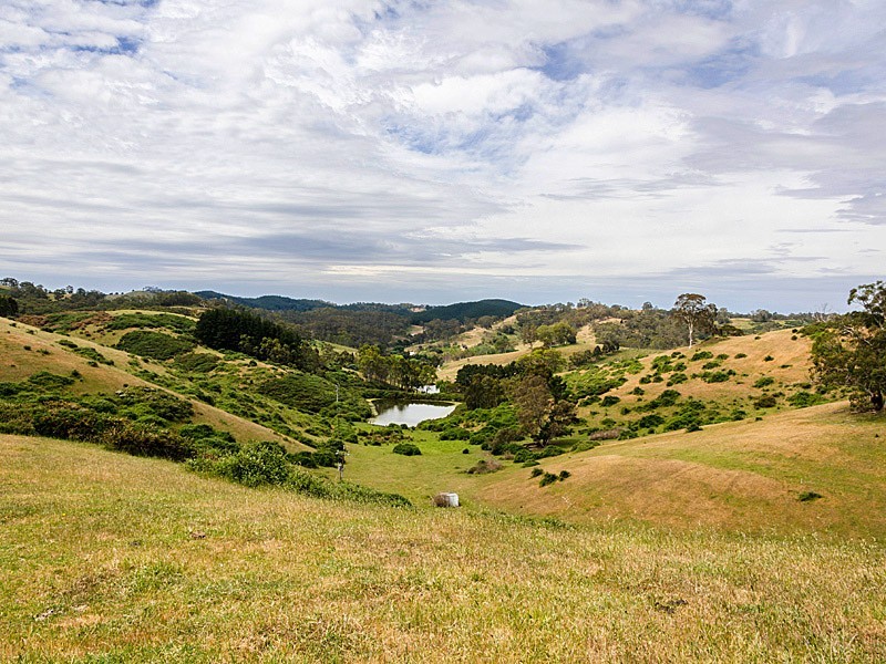 57 Kelly Road, Cudlee Creek SA 5232