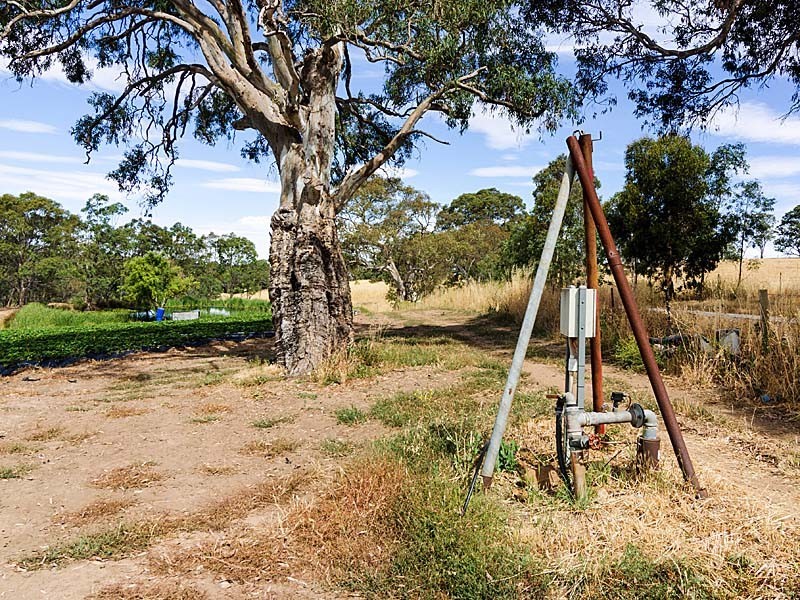 59 Lesley Road, Nairne SA 5252