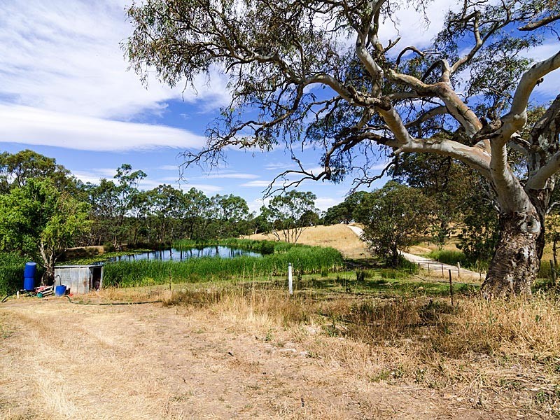 59 Lesley Road, Nairne SA 5252