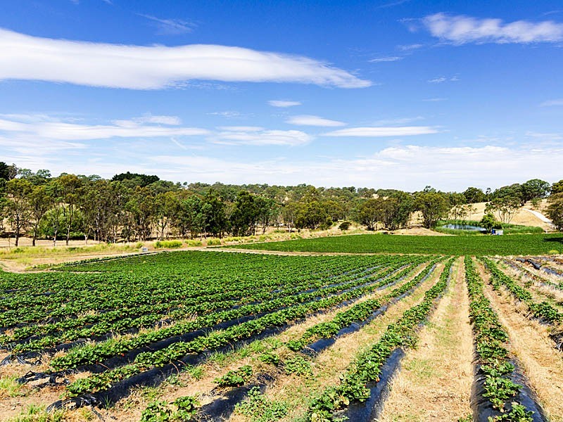 59 Lesley Road, Nairne SA 5252