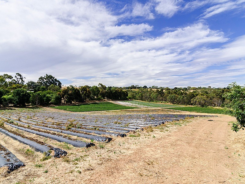 59 Lesley Road, Nairne SA 5252