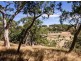 930 Old Bull Creek Road, Meadows SA 5201