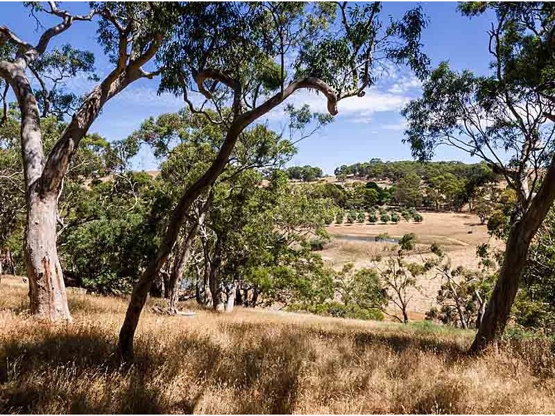 930 Old Bull Creek Road, Meadows SA 5201
