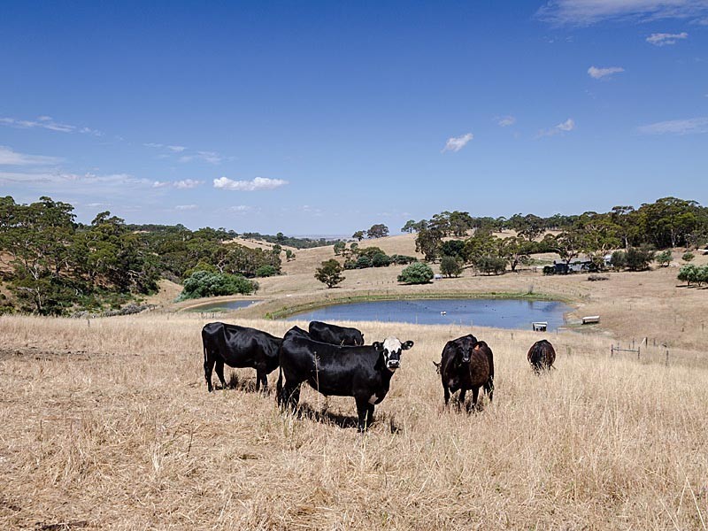 930 Old Bull Creek Road, Meadows SA 5201