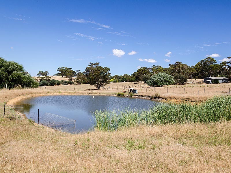 930 Old Bull Creek Road, Meadows SA 5201