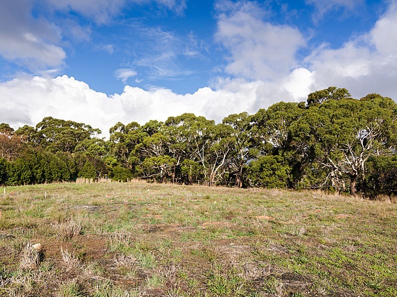 37 Hallett Road, Littlehampton SA 5250