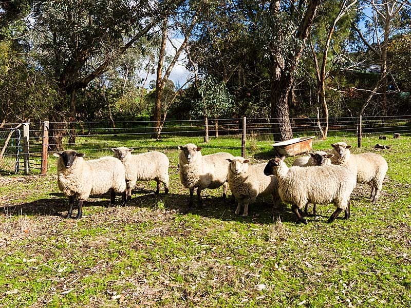 22 Adelaide-Lobethal Road, Lobethal SA 5241