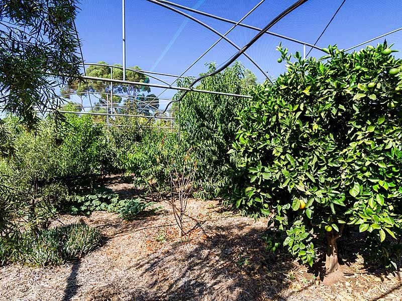 27 Angas Plains Road, Strathalbyn SA 5255