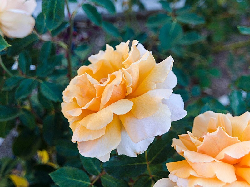 27 Angas Plains Road, Strathalbyn SA 5255