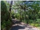 10 Ti Tree Road, Stirling SA 5152
