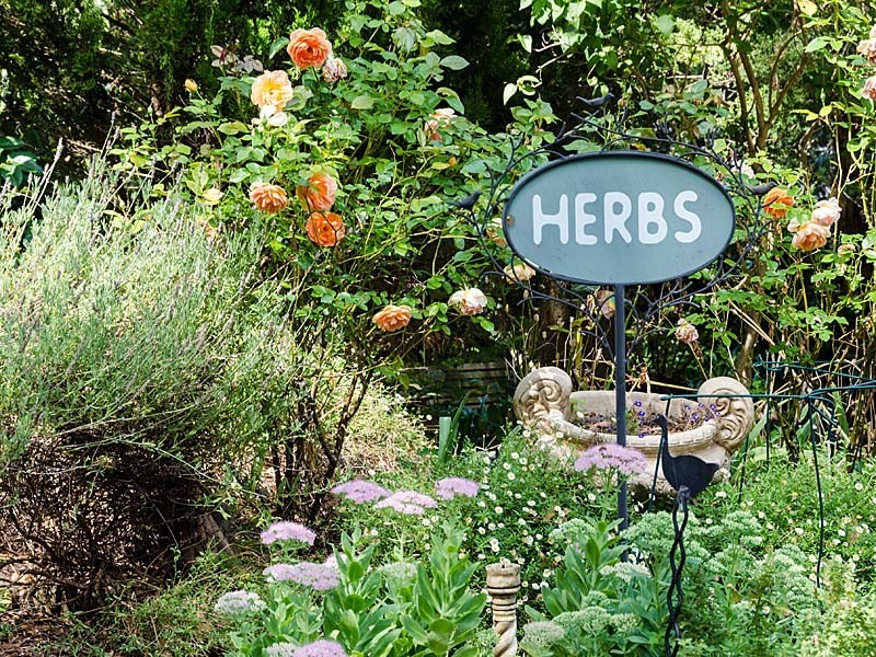 10 Ti Tree Road, Stirling SA 5152