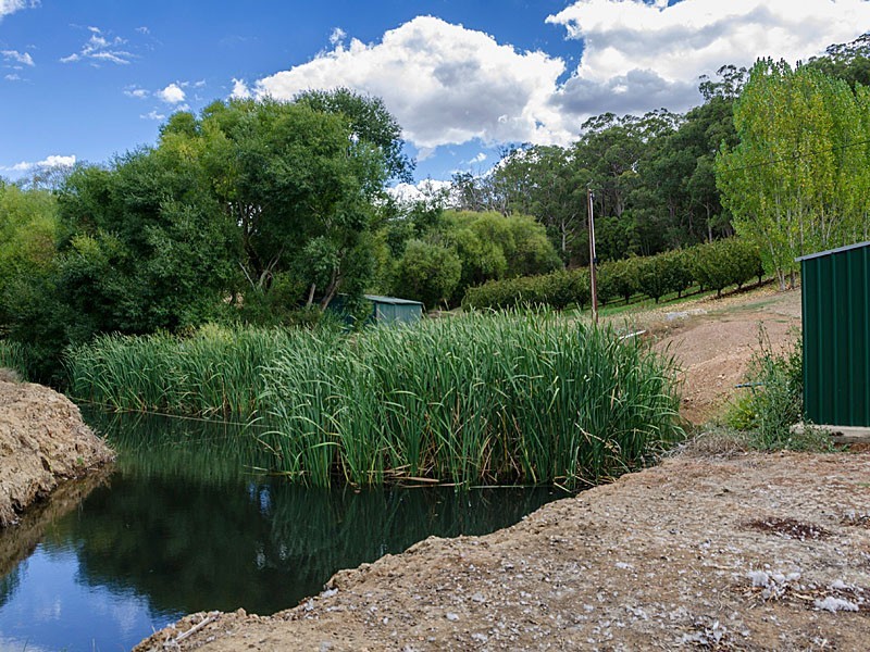 125 Bonython Road, Summertown SA 5141
