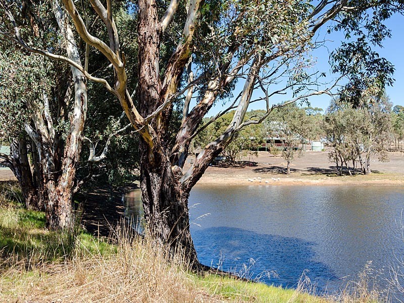 85 Taverner Road, Wistow SA 5251