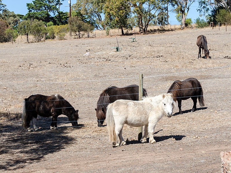 85 Taverner Road, Wistow SA 5251