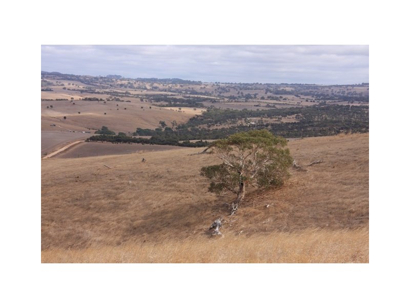 Section 18 Bondleigh Road, Rockleigh SA 5254