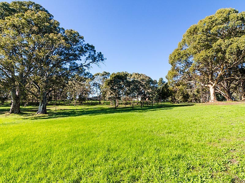 39 Dairy Court, Blakiston SA 5250