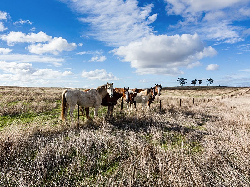 60 Chaunceys Line Road, Strathalbyn SA 5255