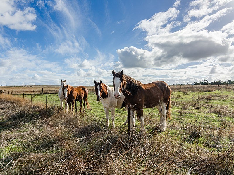 60 Chaunceys Line Road, Strathalbyn SA 5255