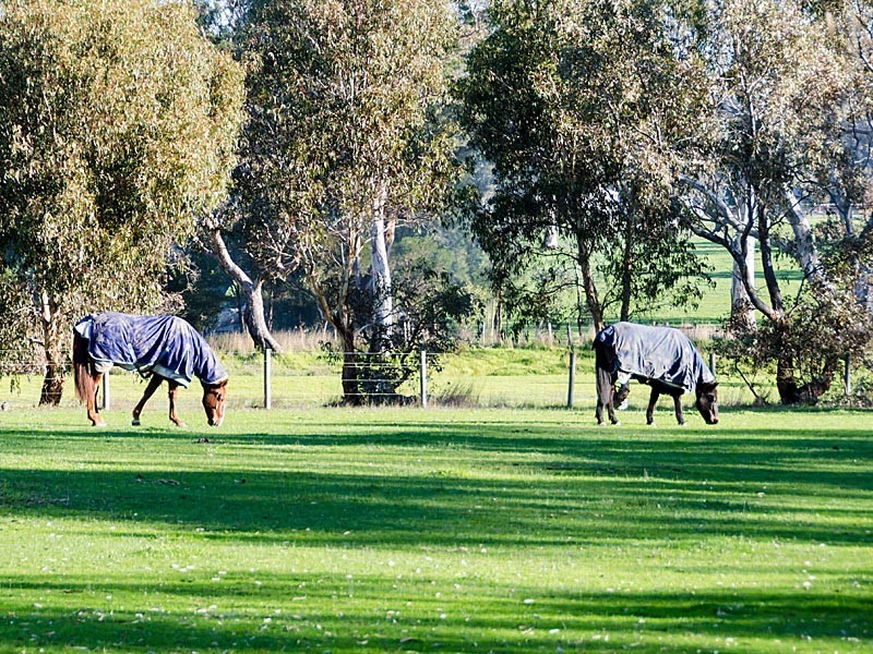 10 Styles Street, Meadows SA 5201