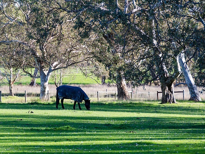 10 Styles Street, Meadows SA 5201