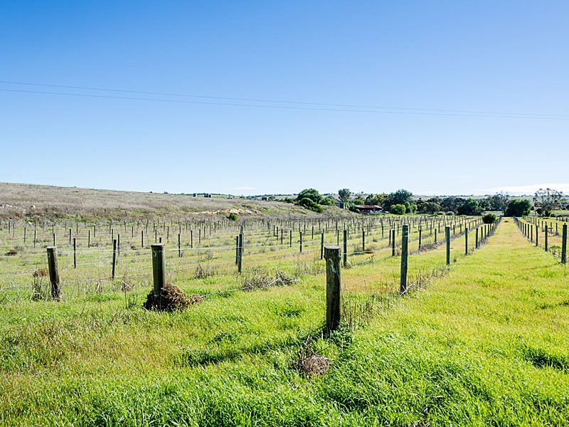 62 Chaunceys Line Road, Strathalbyn SA 5255