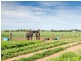 267 Burnlea Road, Strathalbyn SA 5255