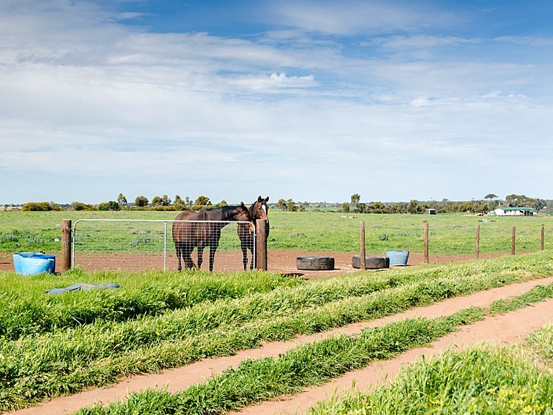 267 Burnlea Road, Strathalbyn SA 5255