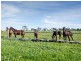 267 Burnlea Road, Strathalbyn SA 5255
