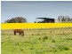 267 Burnlea Road, Strathalbyn SA 5255