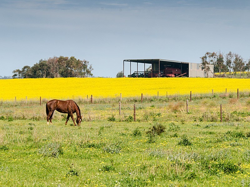 267 Burnlea Road, Strathalbyn SA 5255