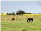 267 Burnlea Road, Strathalbyn SA 5255