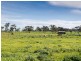 267 Burnlea Road, Strathalbyn SA 5255
