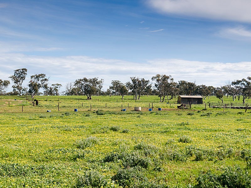 267 Burnlea Road, Strathalbyn SA 5255
