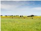 267 Burnlea Road, Strathalbyn SA 5255