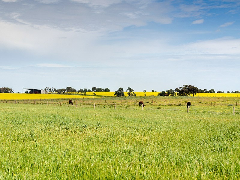 267 Burnlea Road, Strathalbyn SA 5255