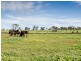 267 Burnlea Road, Strathalbyn SA 5255
