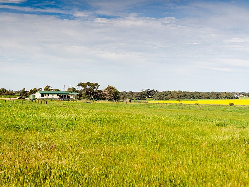 267 Burnlea Road, Strathalbyn SA 5255