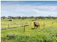 267 Burnlea Road, Strathalbyn SA 5255