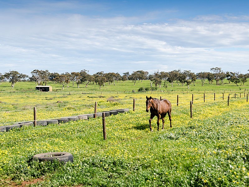 267 Burnlea Road, Strathalbyn SA 5255