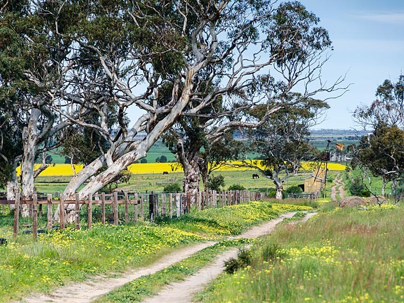 267 Burnlea Road, Strathalbyn SA 5255