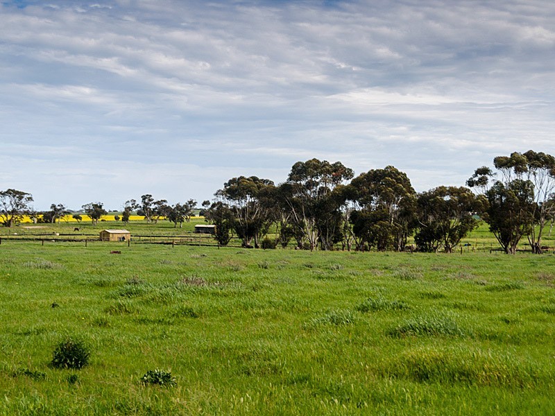 267 Burnlea Road, Strathalbyn SA 5255