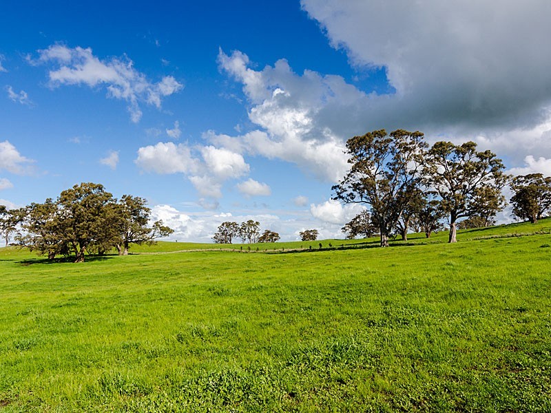 463 Gladigau Road, Woodside SA 5244