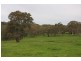 Lot 2 Nyoka Road, Macclesfield SA 5153