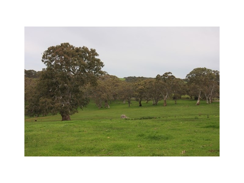 Lot 2 Nyoka Road, Macclesfield SA 5153