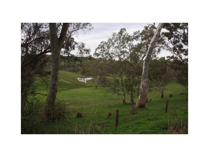 Lot 2 Nyoka Road, Macclesfield SA 5153